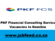 PKF Financial Consulting Services Vacancies In Namibia