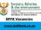 DFFE Vacancies