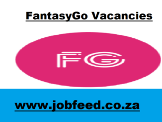 FantasyGo Vacancies