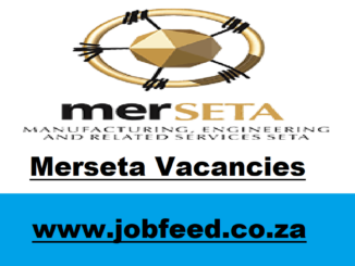 Merseta Vacancies