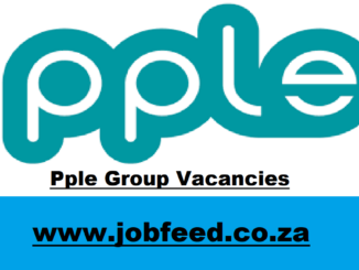 Pple Group Vacancies