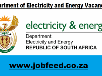 Department of Electricity and Energy Vacancies