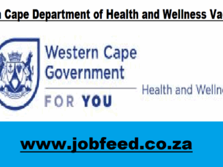 Western Cape Department of Health and Wellness Vacancies 2025