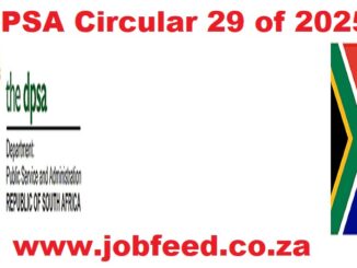 DPSA Circular 29 of 20258